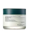 Pyunkang Yul Calming Moisture Barrier Cream