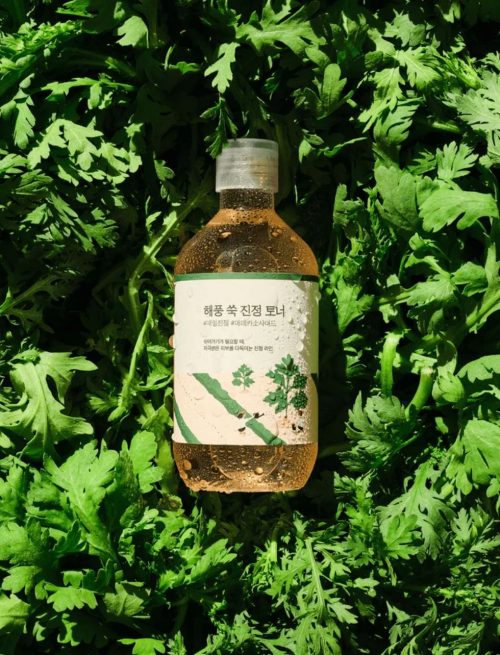 ROUND LAB Mugwort Calming Toner