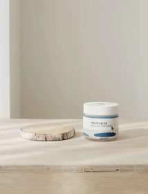 Round Lab Birch Juice Moisturizing Cream