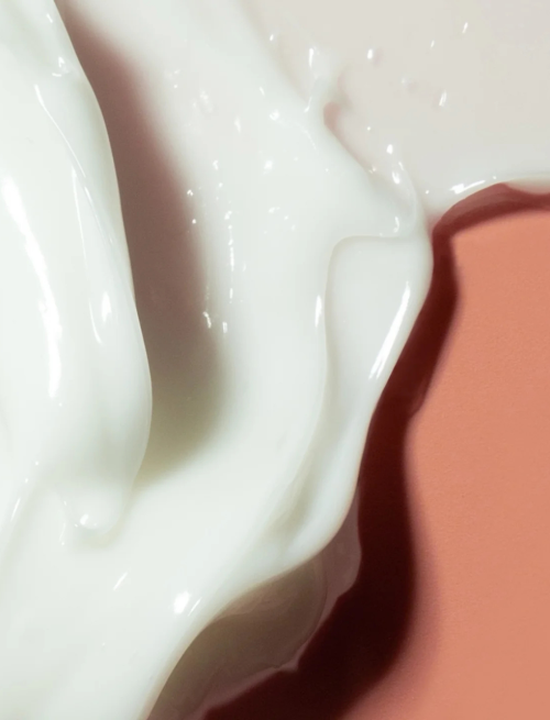 Haruharu Wonder | Centella Phyto & 5 Peptide Concentrate Cream - Image 2