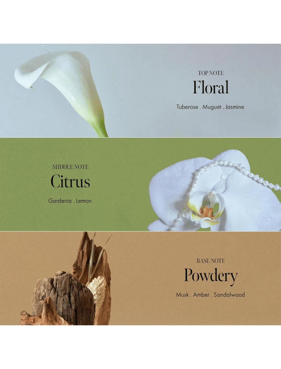 Anillo | Gardenia Veil Color Shield Hair Essence - Image 8