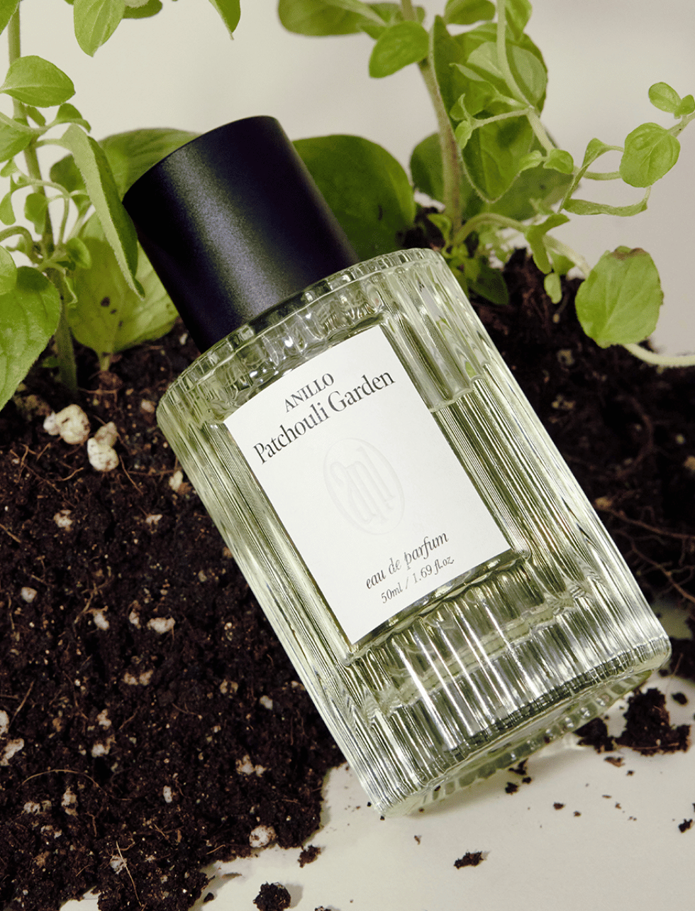 Anillo | Patchouli Garden - Eau de Parfum - Image 3