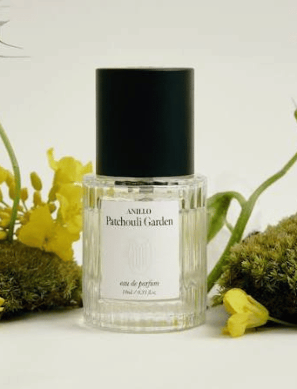 Anillo | Patchouli Garden - Eau de Parfum - Image 4